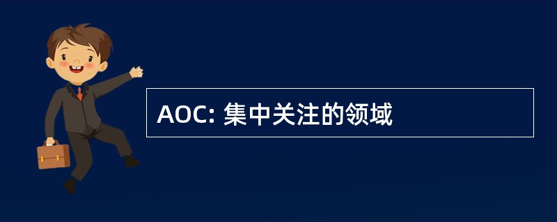 AOC: 集中关注的领域