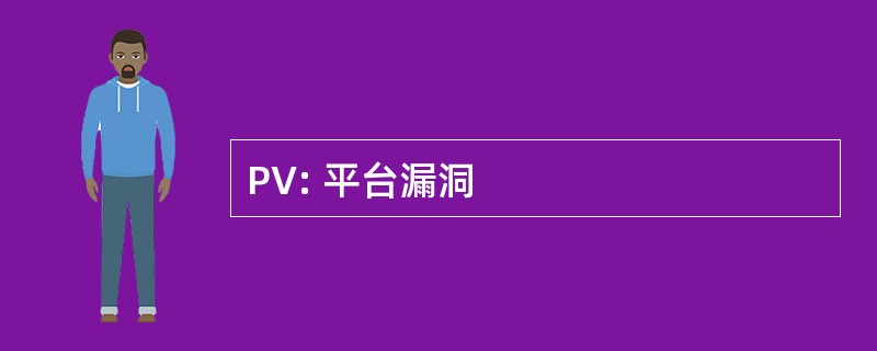 PV: 平台漏洞