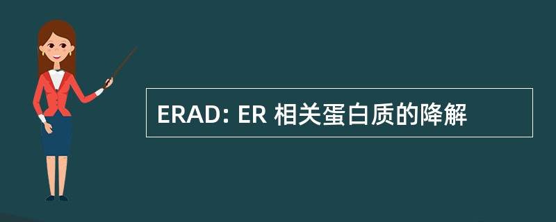 ERAD: ER 相关蛋白质的降解