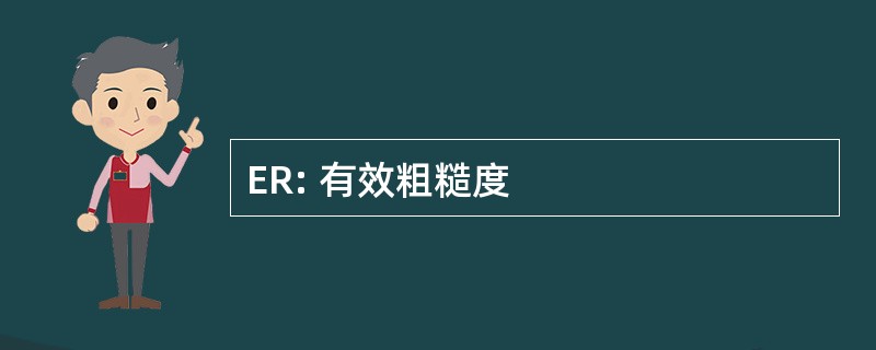 ER: 有效粗糙度