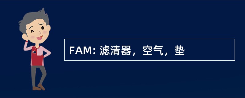 FAM: 滤清器，空气，垫