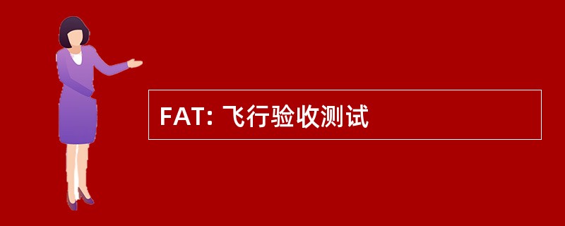 FAT: 飞行验收测试