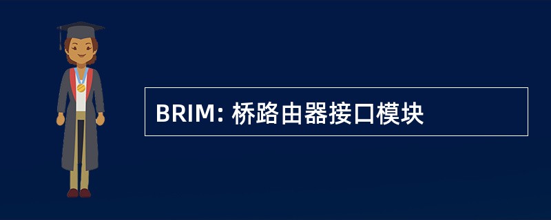 BRIM: 桥路由器接口模块