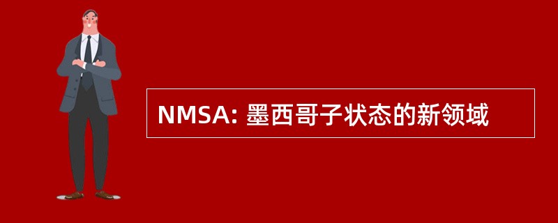 NMSA: 墨西哥子状态的新领域