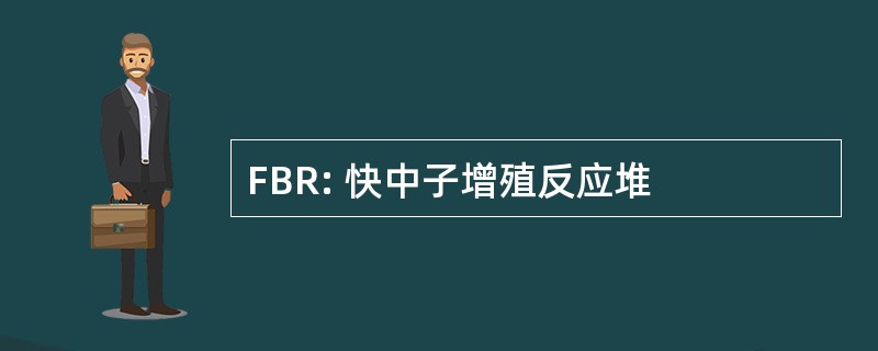 FBR: 快中子增殖反应堆