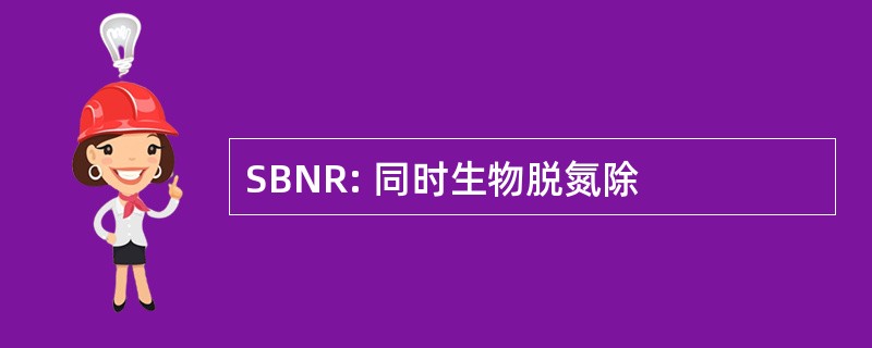 SBNR: 同时生物脱氮除