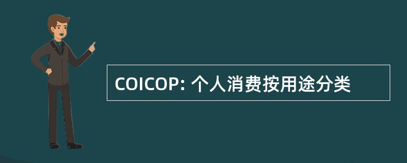 COICOP: 个人消费按用途分类