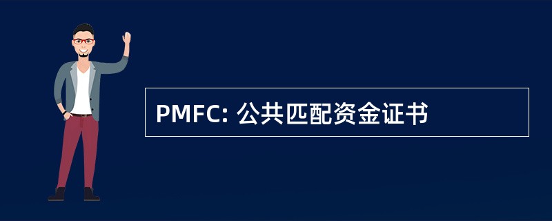 PMFC: 公共匹配资金证书