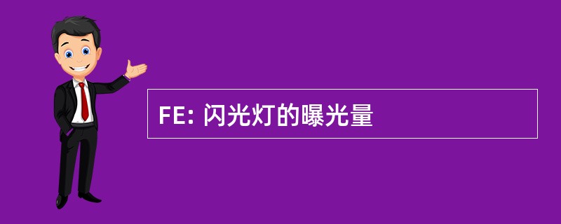 FE: 闪光灯的曝光量