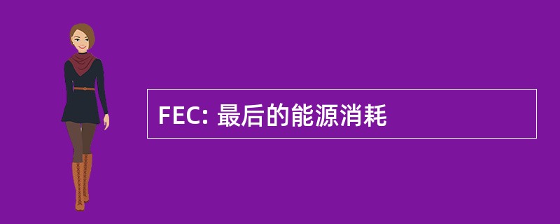 FEC: 最后的能源消耗