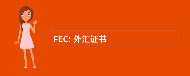 FEC: 外汇证书