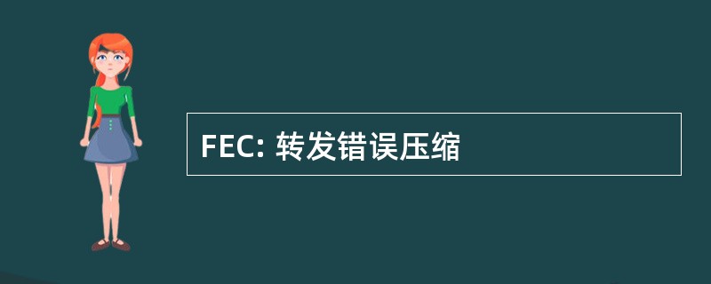 FEC: 转发错误压缩