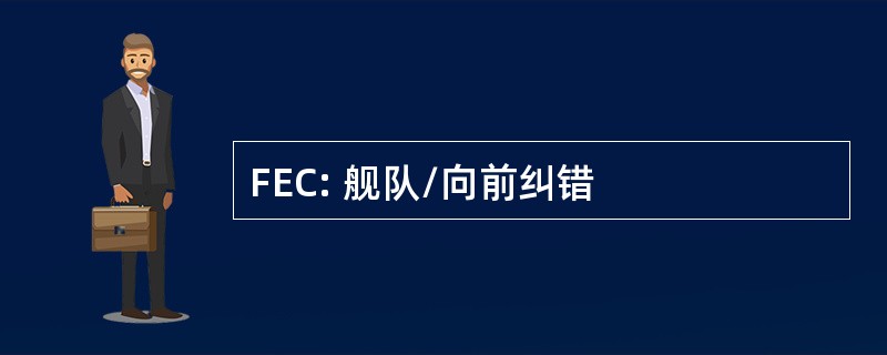 FEC: 舰队/向前纠错