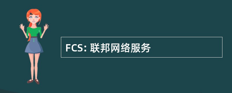 FCS: 联邦网络服务