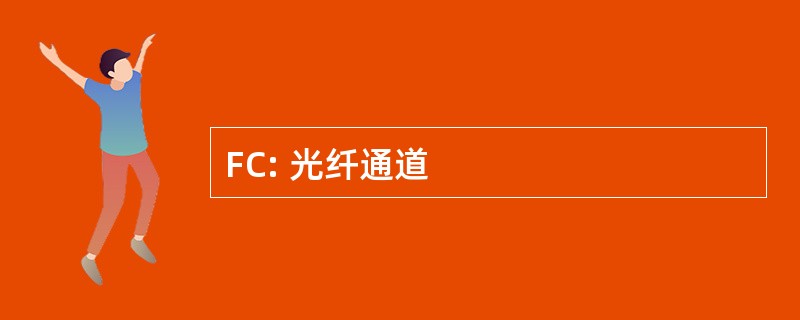 FC: 光纤通道