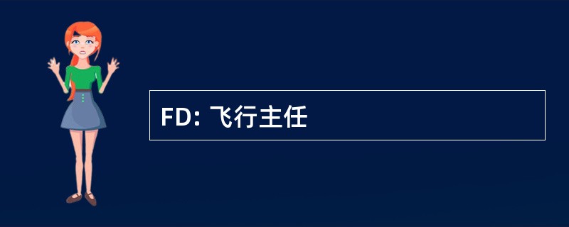 FD: 飞行主任