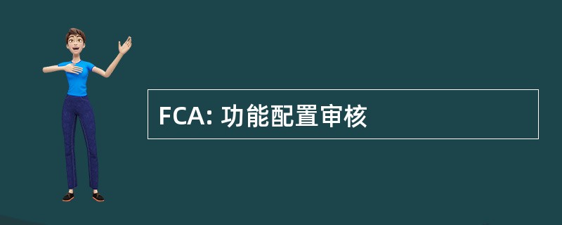 FCA: 功能配置审核