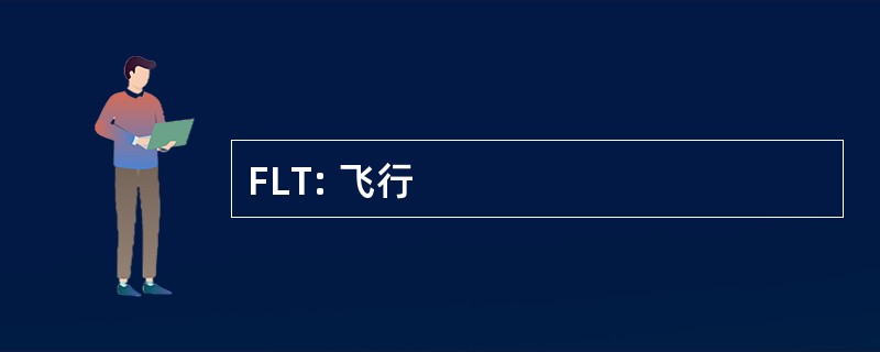 FLT: 飞行