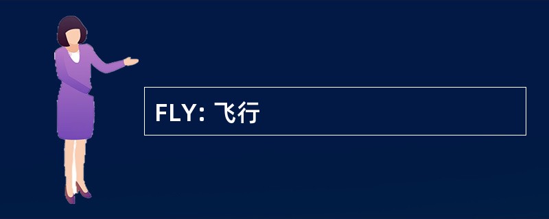 FLY: 飞行