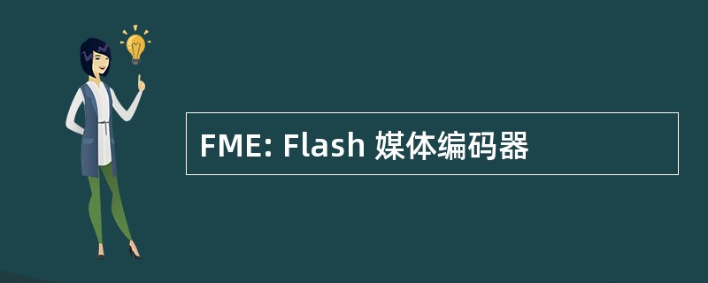 FME: Flash 媒体编码器