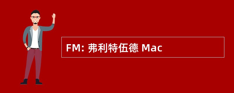 FM: 弗利特伍德 Mac