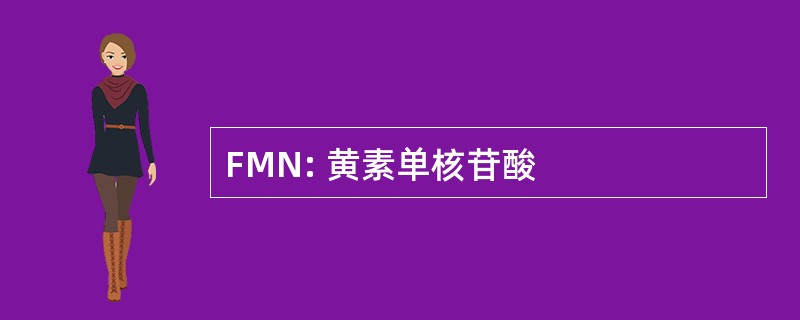 FMN: 黄素单核苷酸