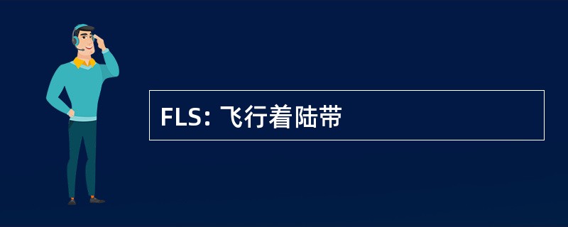 FLS: 飞行着陆带