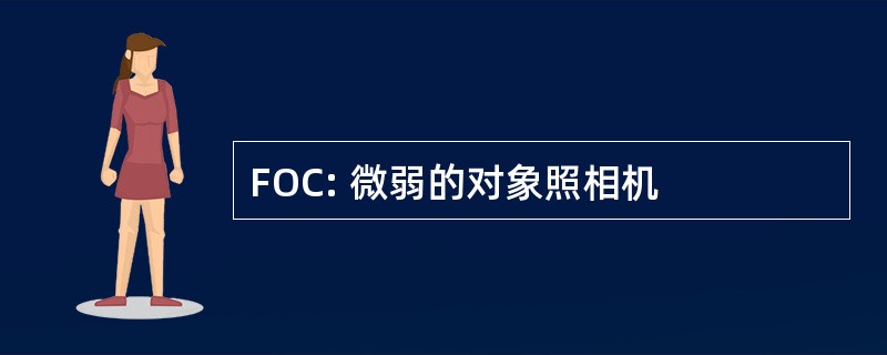 FOC: 微弱的对象照相机