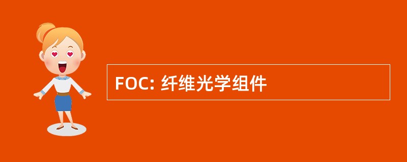 FOC: 纤维光学组件