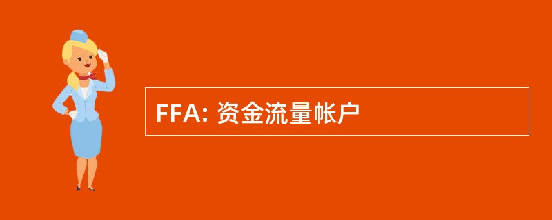 FFA: 资金流量帐户