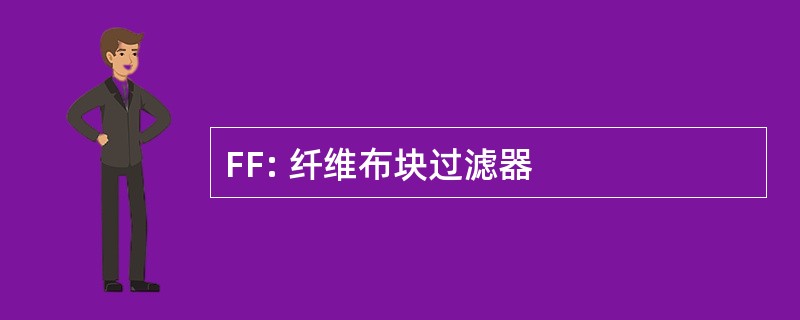 FF: 纤维布块过滤器