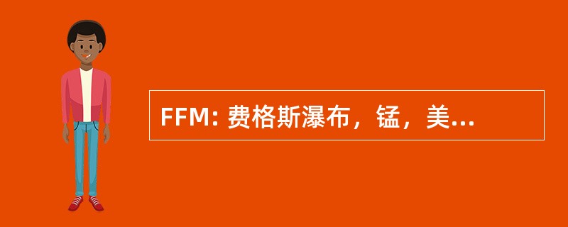 FFM: 费格斯瀑布，锰，美国-弗格斯瀑布市政机场