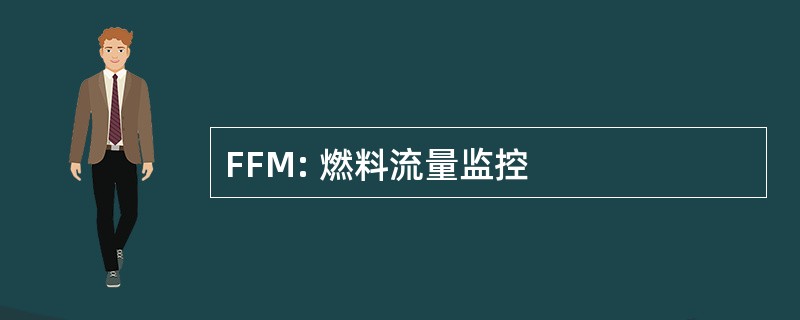 FFM: 燃料流量监控