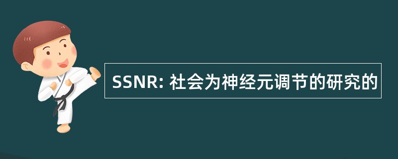 SSNR: 社会为神经元调节的研究的