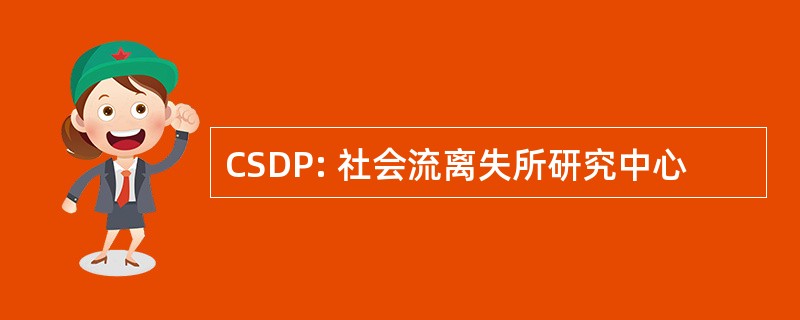 CSDP: 社会流离失所研究中心