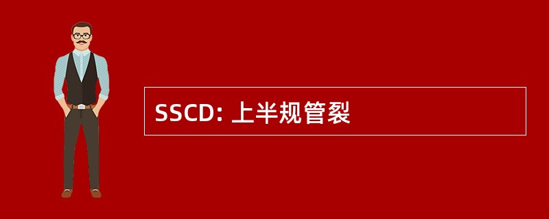 SSCD: 上半规管裂