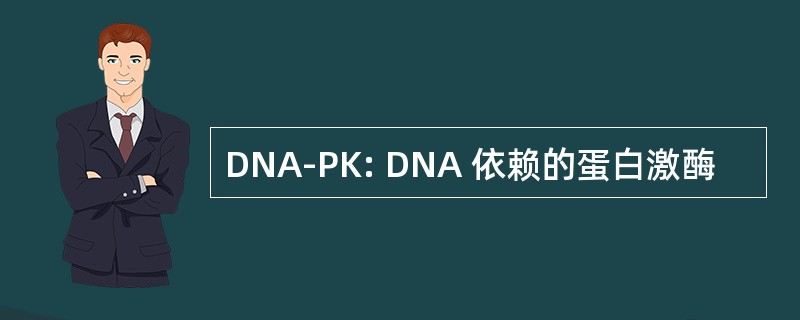 DNA-PK: DNA 依赖的蛋白激酶