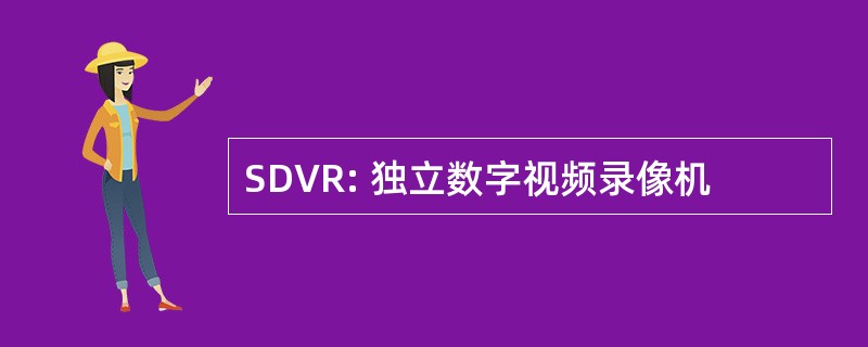 SDVR: 独立数字视频录像机