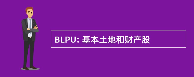 BLPU: 基本土地和财产股