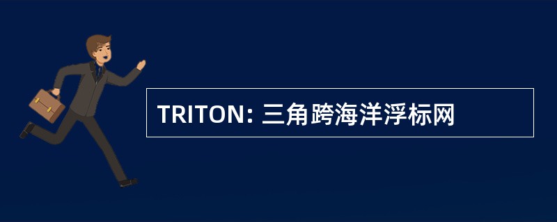 TRITON: 三角跨海洋浮标网