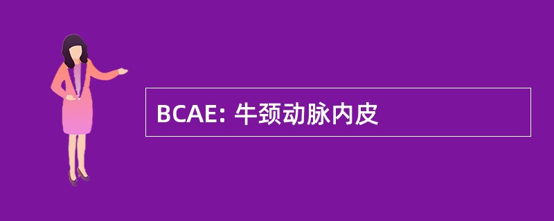 BCAE: 牛颈动脉内皮