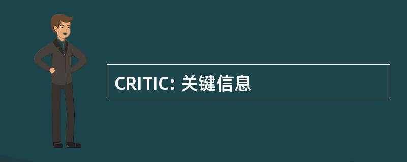 CRITIC: 关键信息