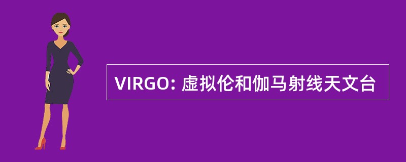 VIRGO: 虚拟伦和伽马射线天文台