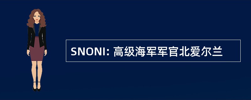 SNONI: 高级海军军官北爱尔兰