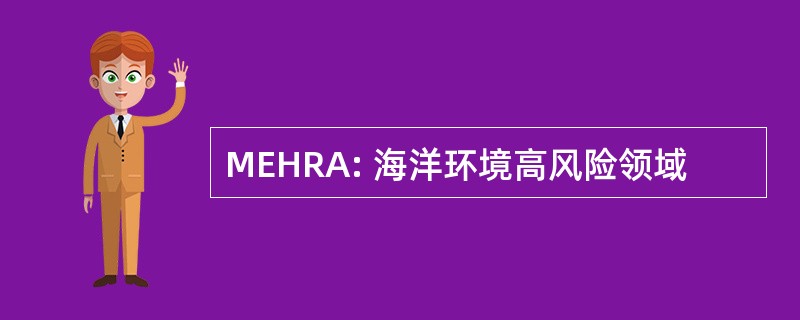 MEHRA: 海洋环境高风险领域