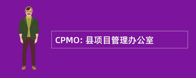 CPMO: 县项目管理办公室