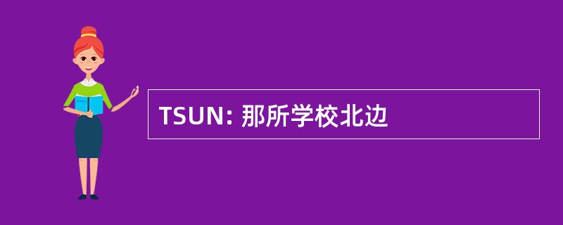 TSUN: 那所学校北边