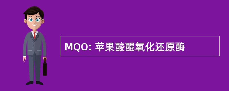 MQO: 苹果酸醌氧化还原酶