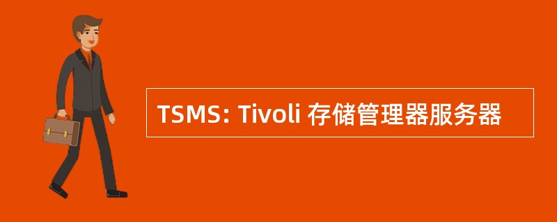 TSMS: Tivoli 存储管理器服务器