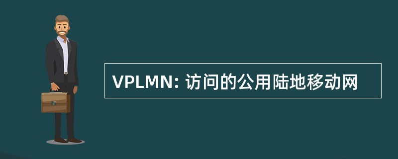 VPLMN: 访问的公用陆地移动网